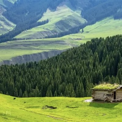 20 de locuri de campare de top din China, la prețuri accesibile și ventilate!...